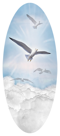 Journey Home Clouds Birds Blue